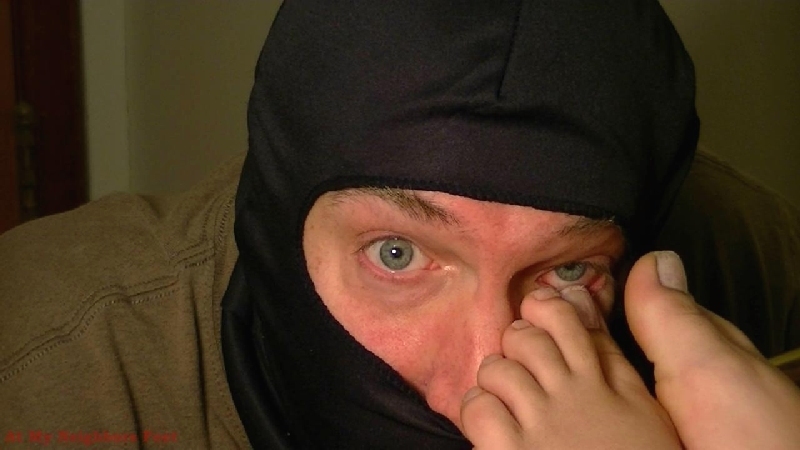 Kitty Pedicure Extreme Close-up